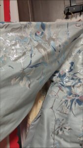 ming-dynasty-woven-gold-apricot-moon-white-hanfu-mamian-skirt-detail