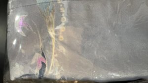 ming-dynasty-woven-gold-apricot-moon-white-hanfu-mamian-skirt-detail